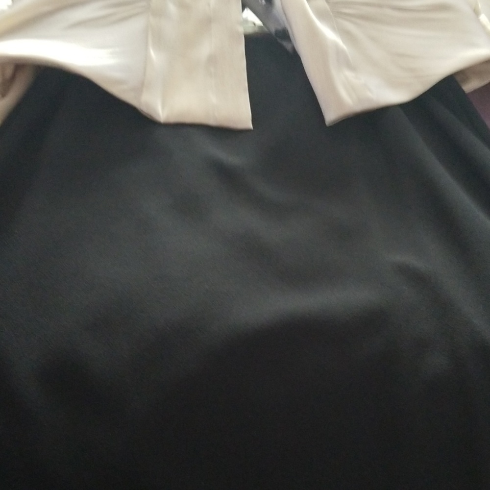 Dress skirt worn 1 time